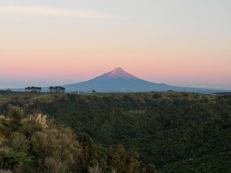 Egmont Honey Bienenstöcke mit dem Berg Taranaki im Hintergrund